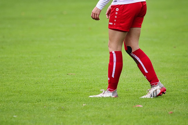 年进行了全 年进行了全