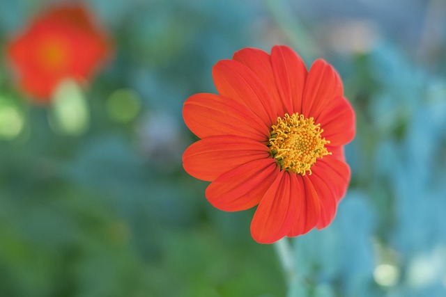 蔚山现代的 蔚山现代的