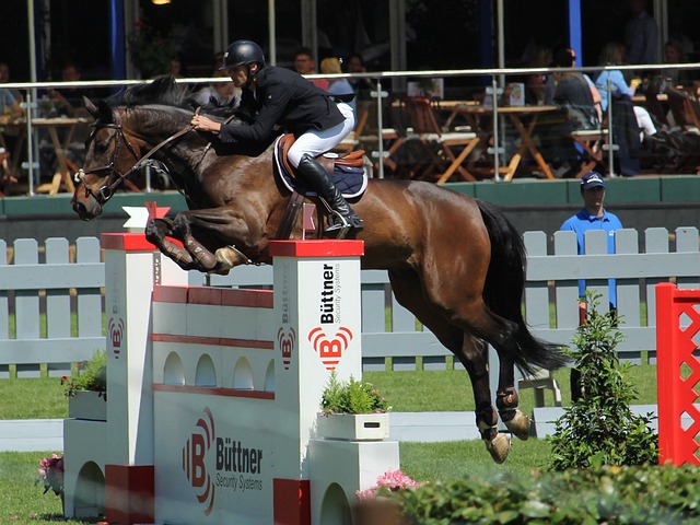 他顶级球队 他顶级球队