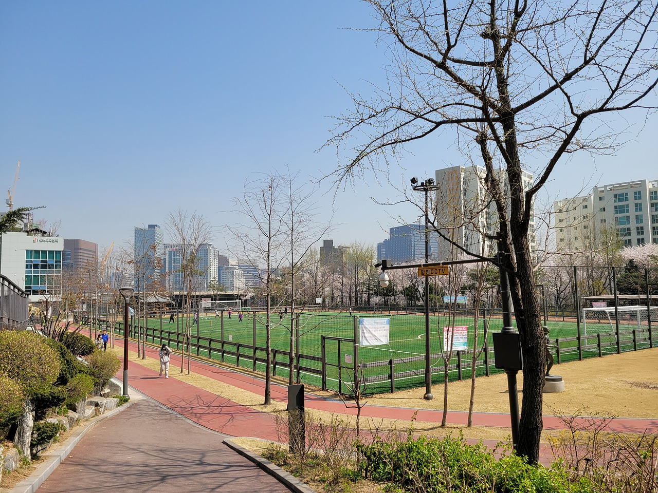 队的综合实 队的综合实