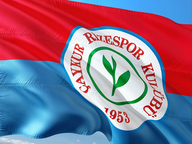 建立了深厚 建立了深厚