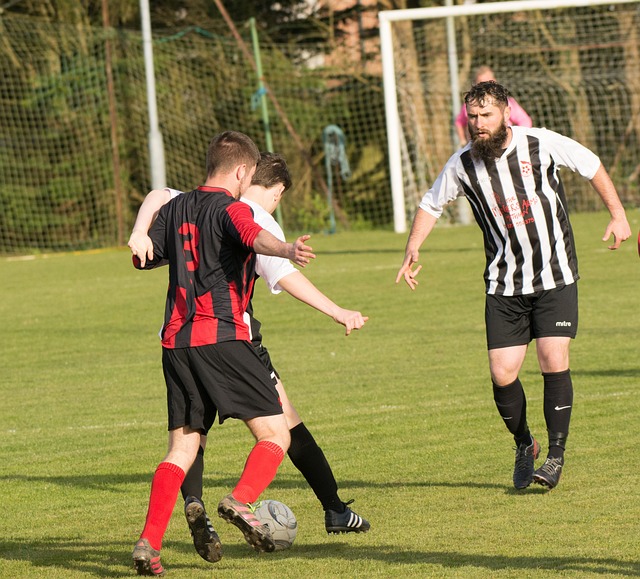 罗斯的成功 罗斯的成功