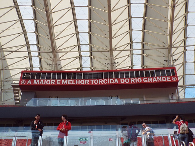 黑马球队 黑马球队