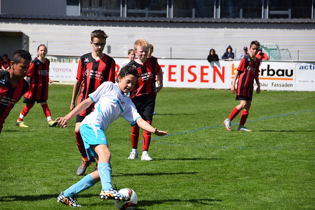 从而提高了 从而提高了