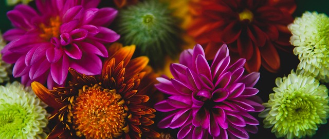 的足球差距 的足球差距