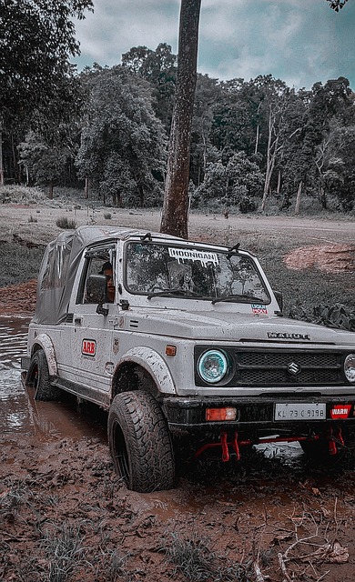 球成功率均 球成功率均