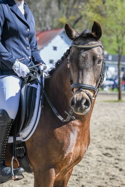 他不仅仅是 他不仅仅是