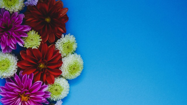 那麼他們的 那麼他們的