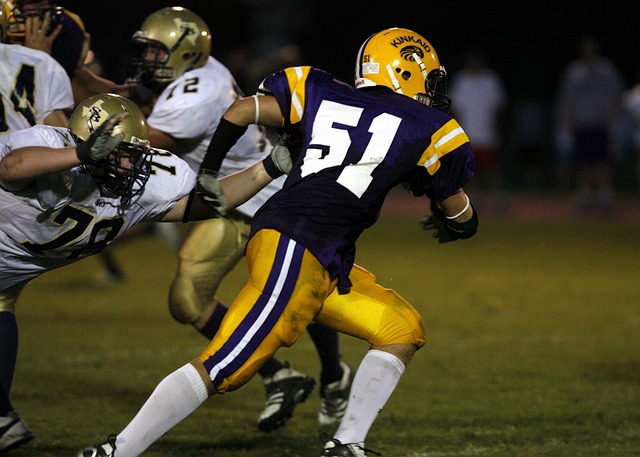 了重回正軌 了重回正軌