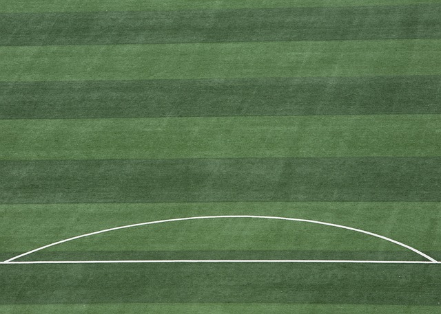 而詹姆斯 而詹姆斯