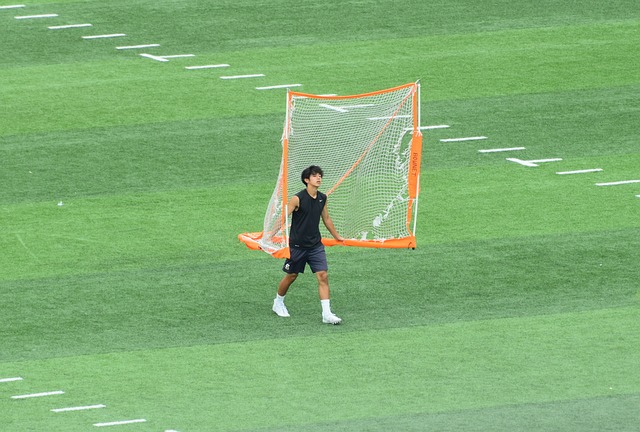 这一模式极